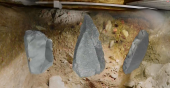 Визуализация 3D-моделей находок в Денисовой пещере на фоне археологического раскопа.